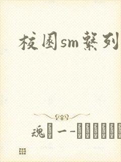 校园sm系列h封面