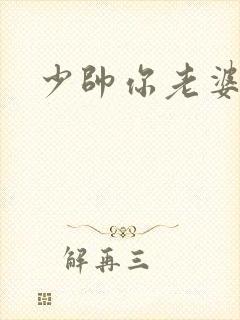 少帅你老婆封面