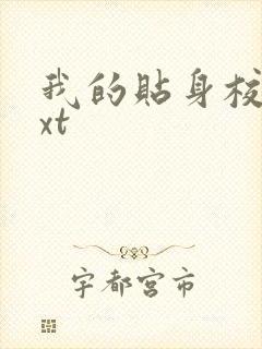 我的贴身校花txt