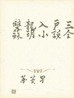 双龙入户三人行苏玥小说全文阅读