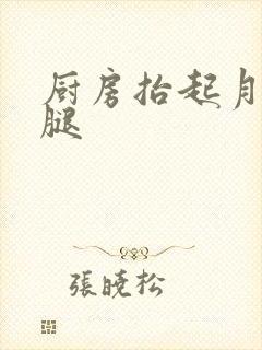 厨房抬起月月的腿封面