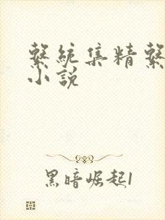 系统集精系统 小说