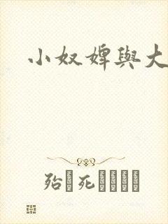 小奴婢与大少爷