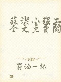 苏洁小强工地情全文免费阅读