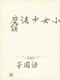 魔法少女小圆小说