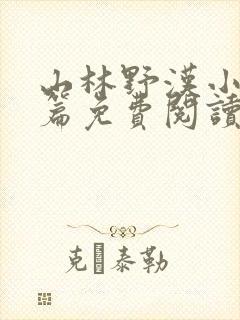 山林野汉小说全篇免费阅读