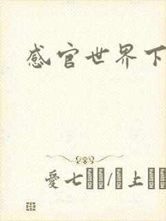 感官世界下载