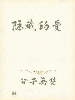 隐藏的爱封面
