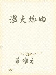 温火炖肉
