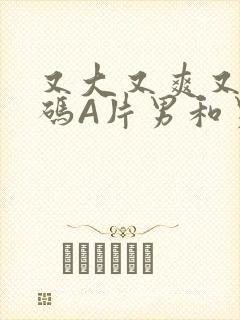 又大又爽又黄无码A片男和男封面