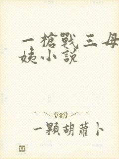 一枪战三母2雪姨小说