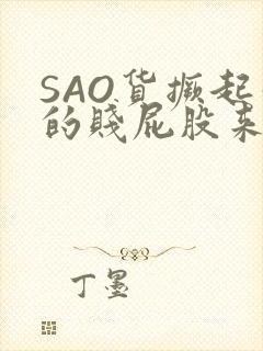 SAO货撅起你的贱屁股来