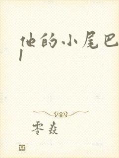 他的小尾巴1v1封面