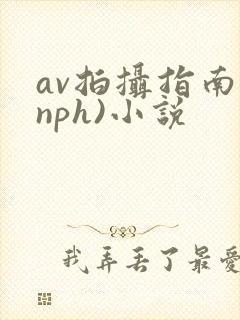 av拍摄指南(nph)小说封面