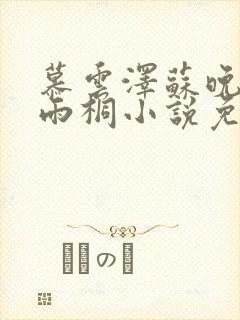 慕云泽苏晚晴夏雨桐小说免费阅读