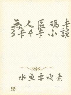 无人区码卡二卡3卡4卡小说