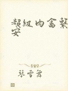 超级肉禽系统保安封面