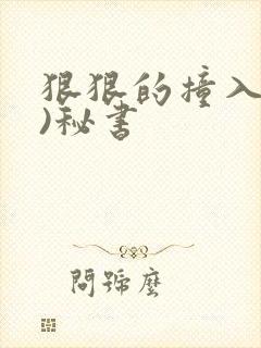 狠狠的撞入(h)秘书