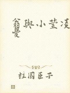 翁与小莹凌晨欢爱