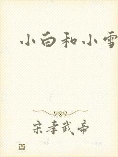小白和小雪