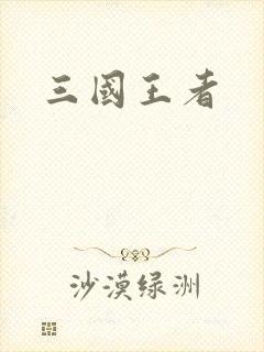 三国王者封面