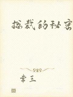 总裁的秘密情人