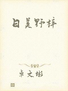 日美野梓封面