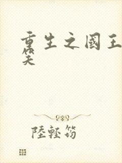 重生之国王的微笑