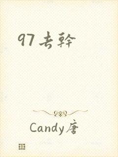 97去干封面