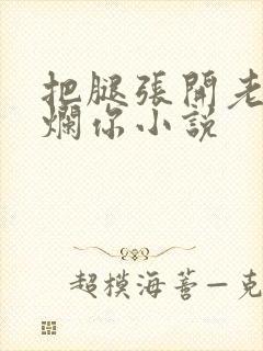 把腿张开老子臊烂你小说