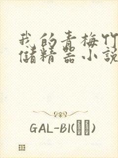 我的青梅竹马是储精器小说