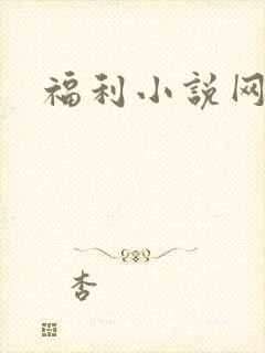 福利小说网封面