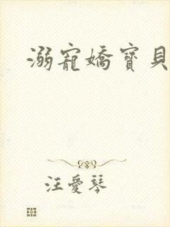 溺宠娇宝贝封面