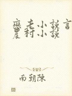 恋老小说言情网农村小说封面