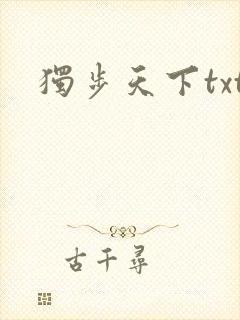 独步天下txt封面