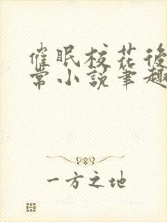 催眠校花后的日常小说笔趣阁