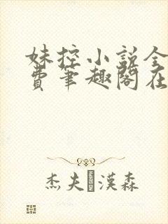 妹控小说全文免费笔趣阁在线阅读封面