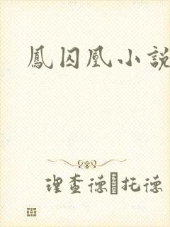 凤囚凰小说封面