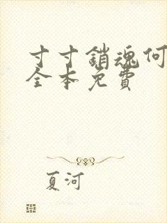 寸寸销魂何生祥全本免费