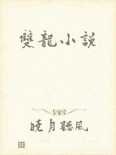 双龙小说