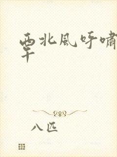 西北风呼啸的中午