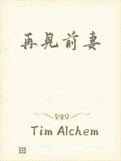 再见前妻