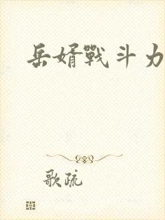 岳婿战斗力封面