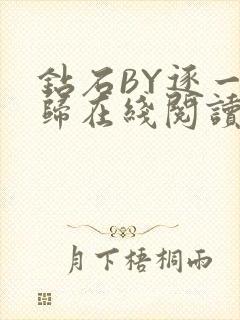 钻石BY逐一而归在线阅读