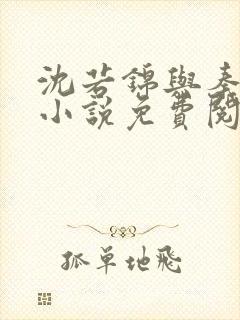 沈若锦与秦琅的小说免费阅读