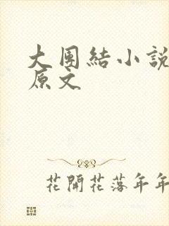 大团结小说阅读原文