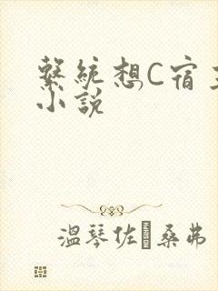 系统想C宿主的小说