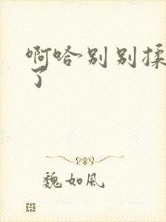 啊哈别别揉那处了