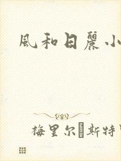 风和日丽小说