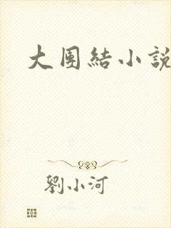 大团结小说阅读